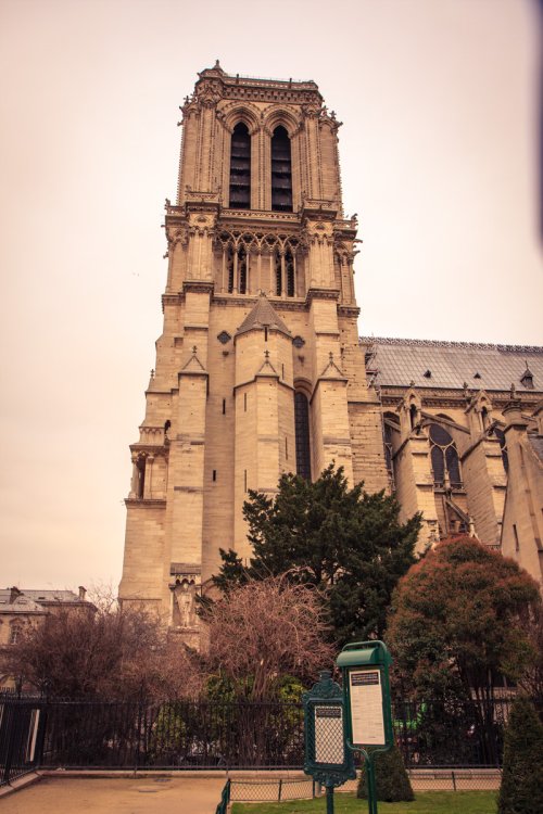 More Notre Dame